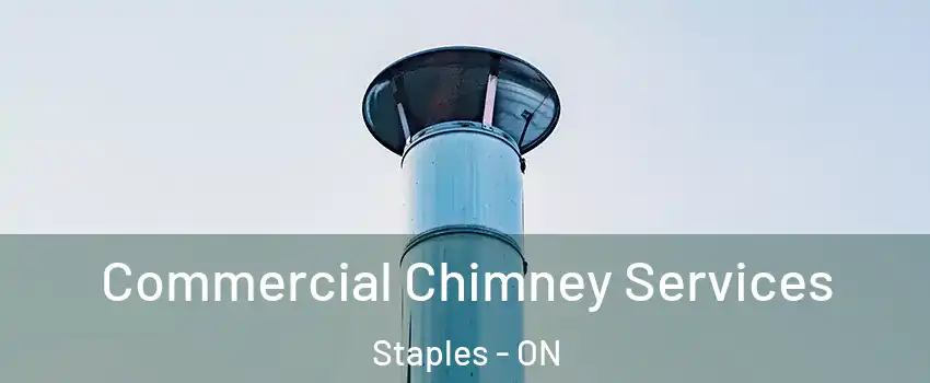  Commercial Chimney Services Staples - ON