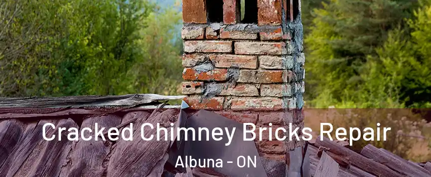  Cracked Chimney Bricks Repair Albuna - ON