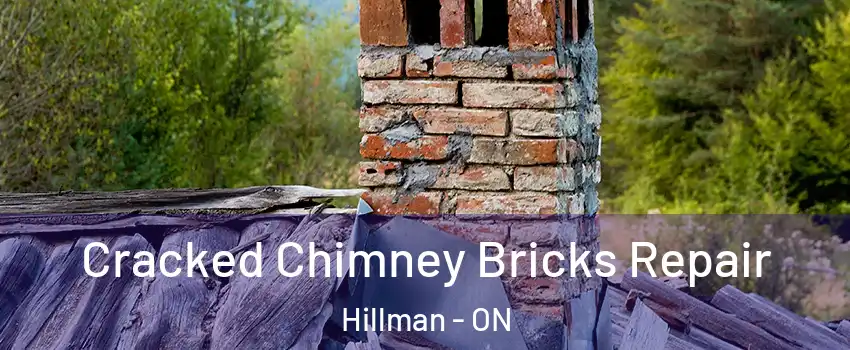  Cracked Chimney Bricks Repair Hillman - ON