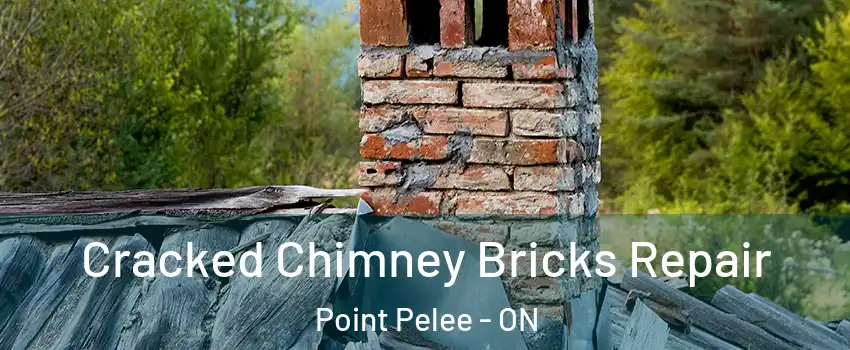  Cracked Chimney Bricks Repair Point Pelee - ON