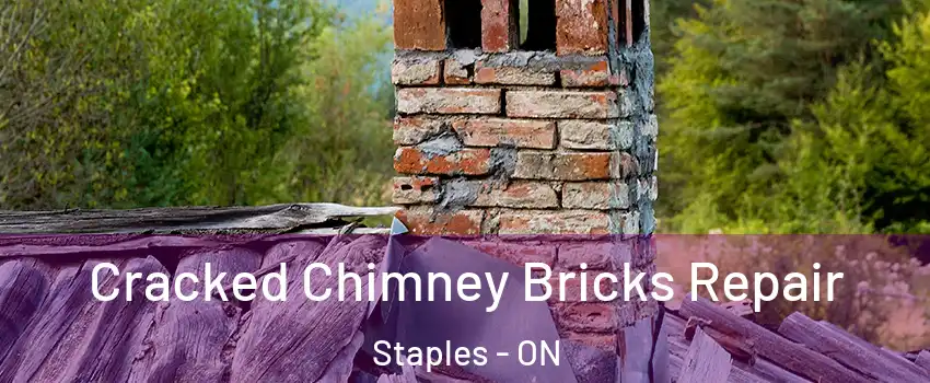  Cracked Chimney Bricks Repair Staples - ON