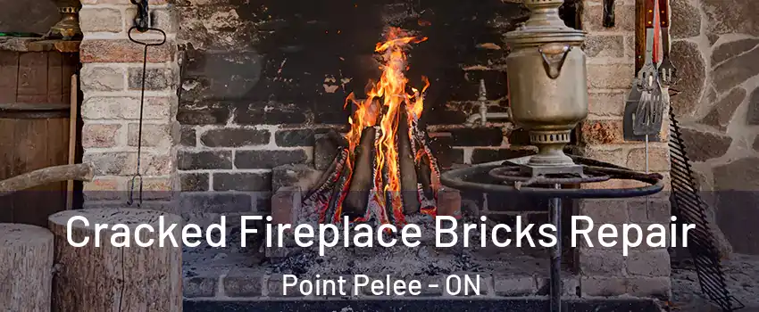  Cracked Fireplace Bricks Repair Point Pelee - ON