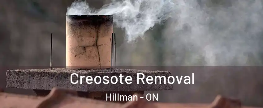  Creosote Removal Hillman - ON