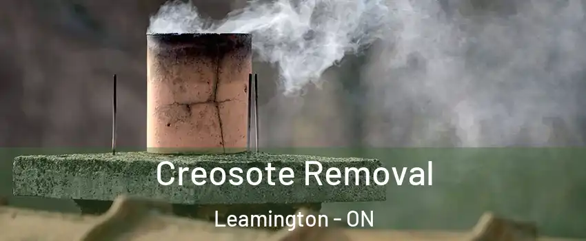  Creosote Removal Leamington - ON