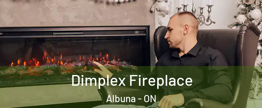  Dimplex Fireplace Albuna - ON