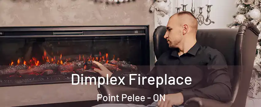  Dimplex Fireplace Point Pelee - ON