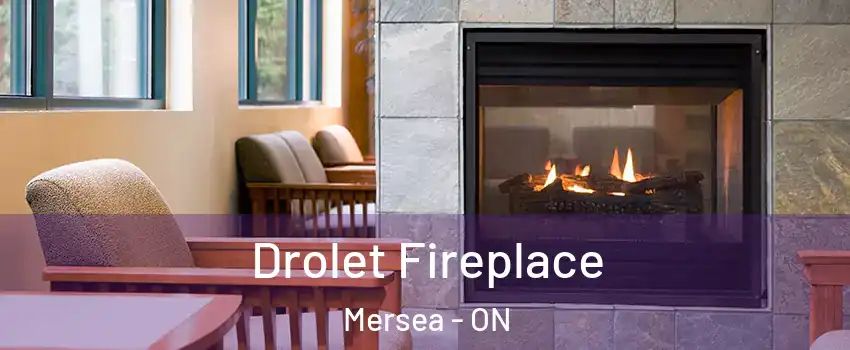  Drolet Fireplace Mersea - ON