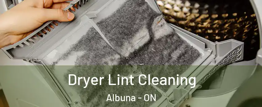  Dryer Lint Cleaning Albuna - ON
