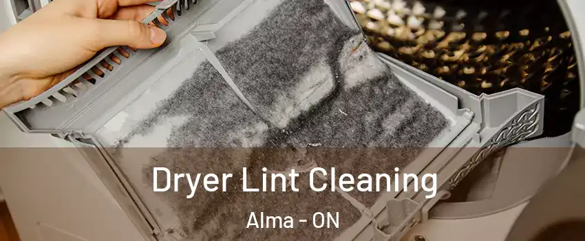  Dryer Lint Cleaning Alma - ON