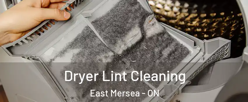  Dryer Lint Cleaning East Mersea - ON