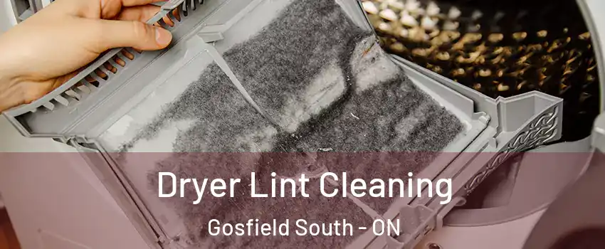  Dryer Lint Cleaning Gosfield South - ON