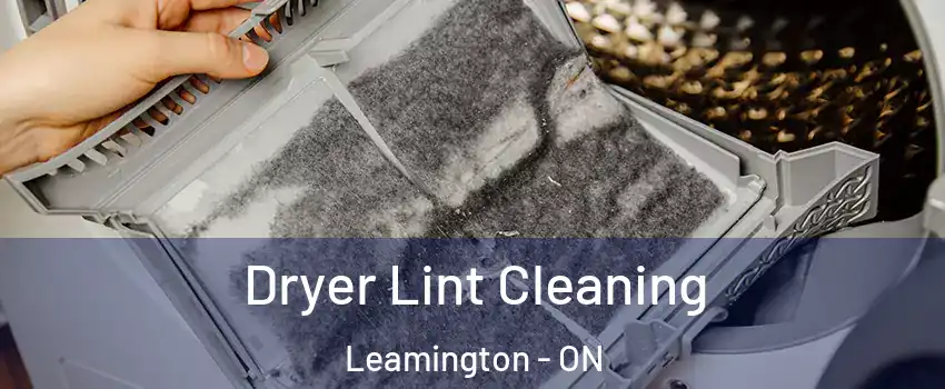  Dryer Lint Cleaning Leamington - ON