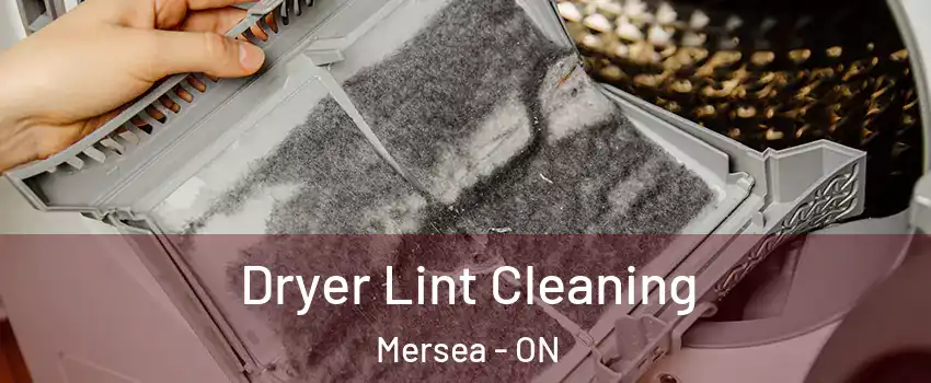  Dryer Lint Cleaning Mersea - ON