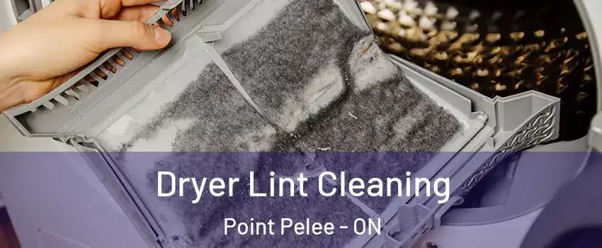  Dryer Lint Cleaning Point Pelee - ON