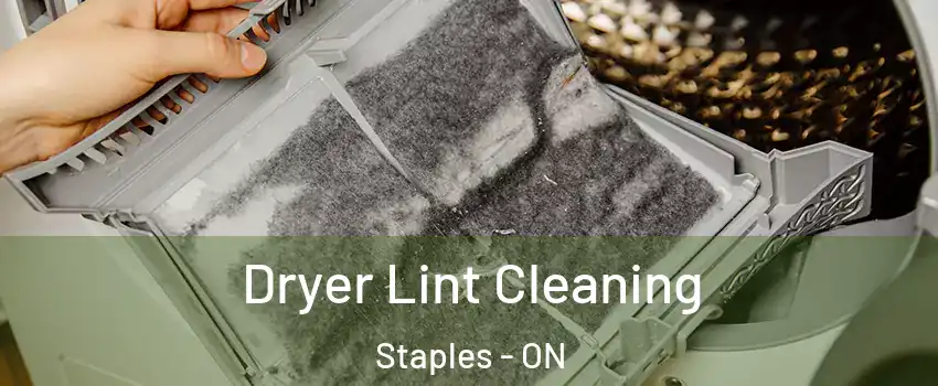  Dryer Lint Cleaning Staples - ON