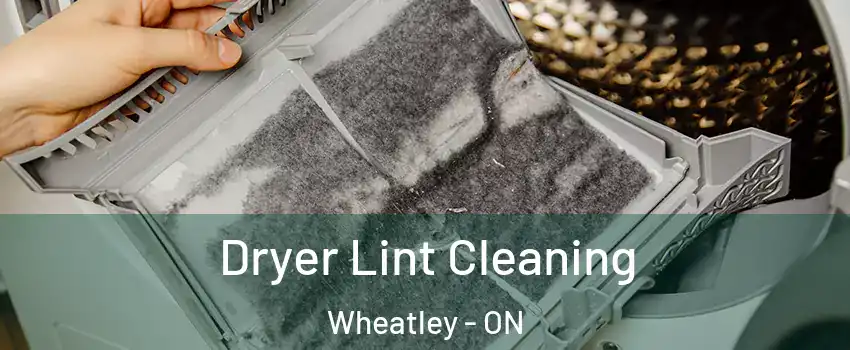  Dryer Lint Cleaning Wheatley - ON