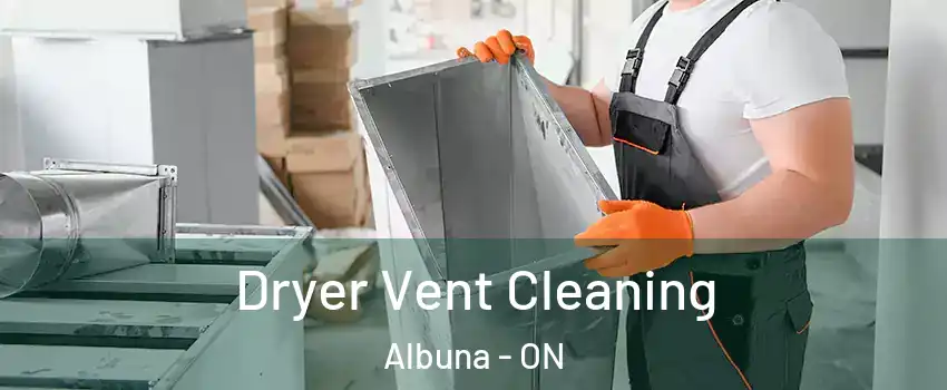  Dryer Vent Cleaning Albuna - ON