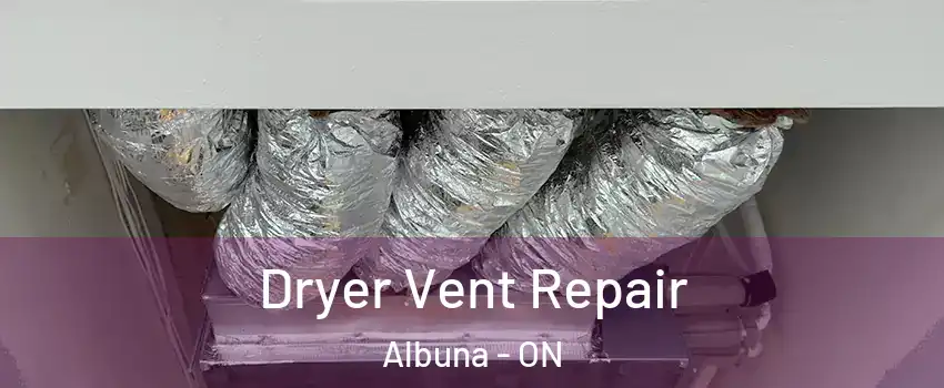 Dryer Vent Repair Albuna - ON