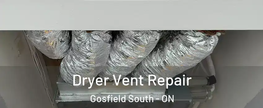  Dryer Vent Repair Gosfield South - ON