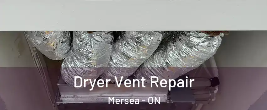  Dryer Vent Repair Mersea - ON