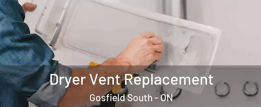  Dryer Vent Replacement Gosfield South - ON