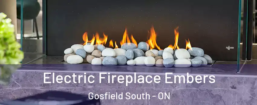  Electric Fireplace Embers Gosfield South - ON