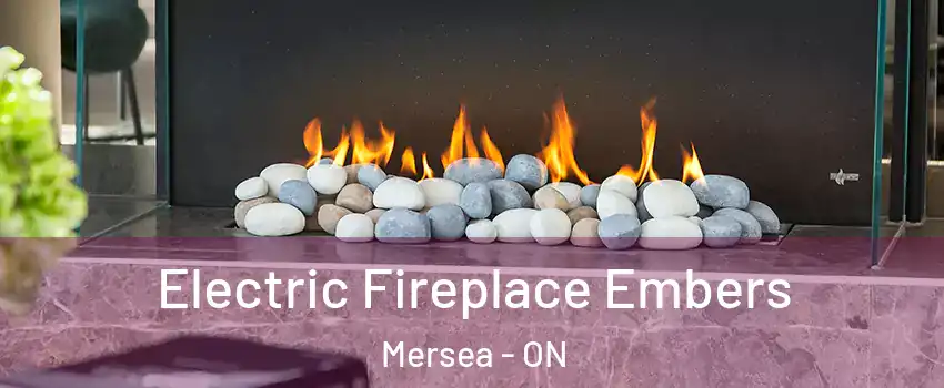  Electric Fireplace Embers Mersea - ON