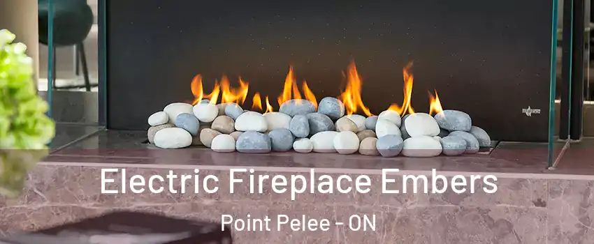  Electric Fireplace Embers Point Pelee - ON