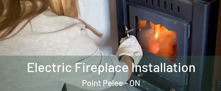  Electric Fireplace Installation Point Pelee - ON