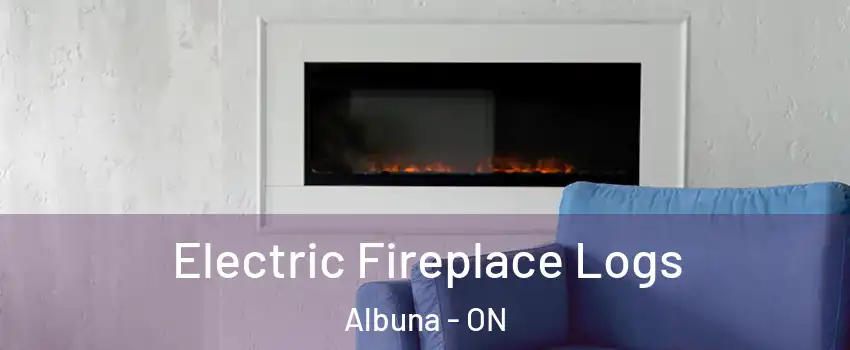  Electric Fireplace Logs Albuna - ON