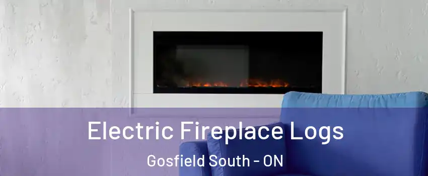  Electric Fireplace Logs Gosfield South - ON