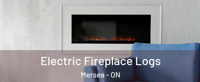  Electric Fireplace Logs Mersea - ON