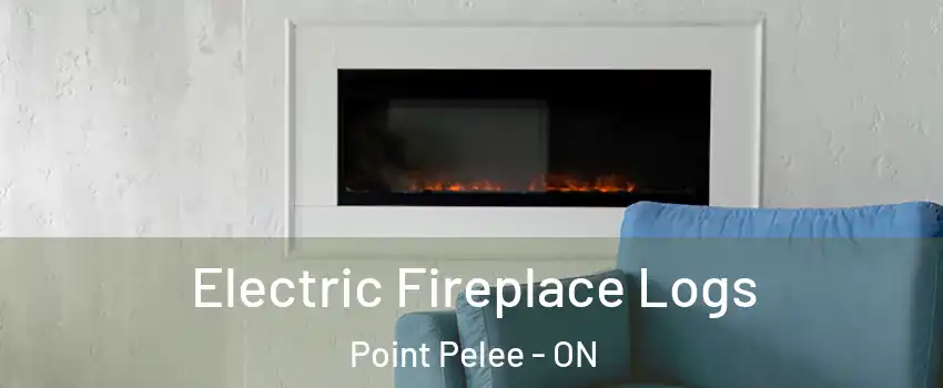  Electric Fireplace Logs Point Pelee - ON