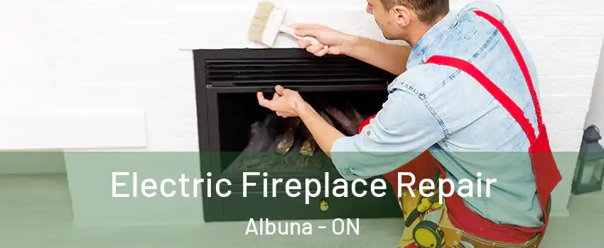  Electric Fireplace Repair Albuna - ON