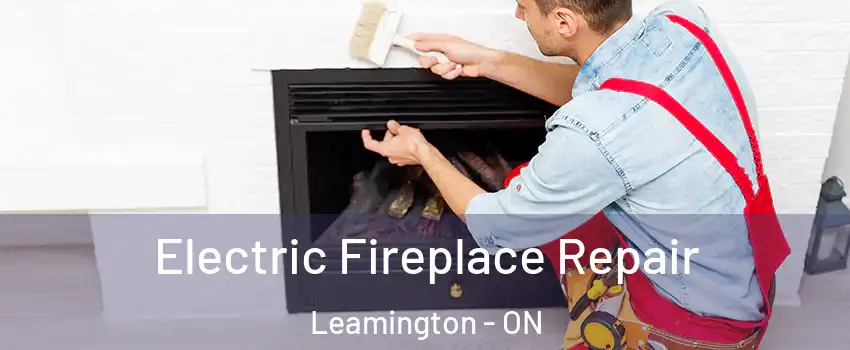  Electric Fireplace Repair Leamington - ON