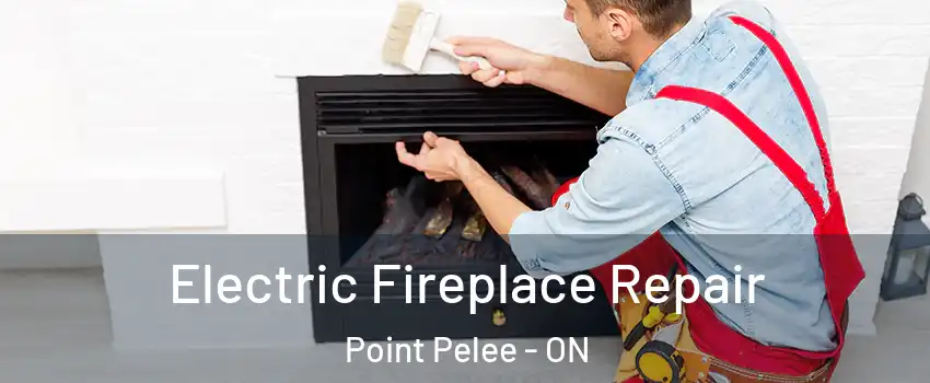  Electric Fireplace Repair Point Pelee - ON