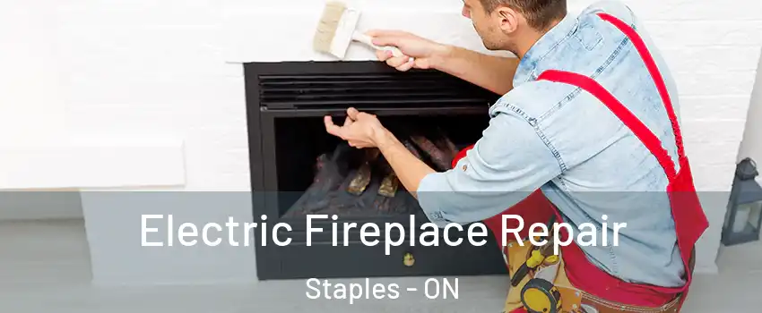  Electric Fireplace Repair Staples - ON