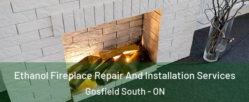  Ethanol Fireplace Repair And Installation Services Gosfield South - ON