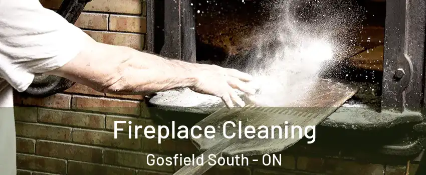  Fireplace Cleaning Gosfield South - ON