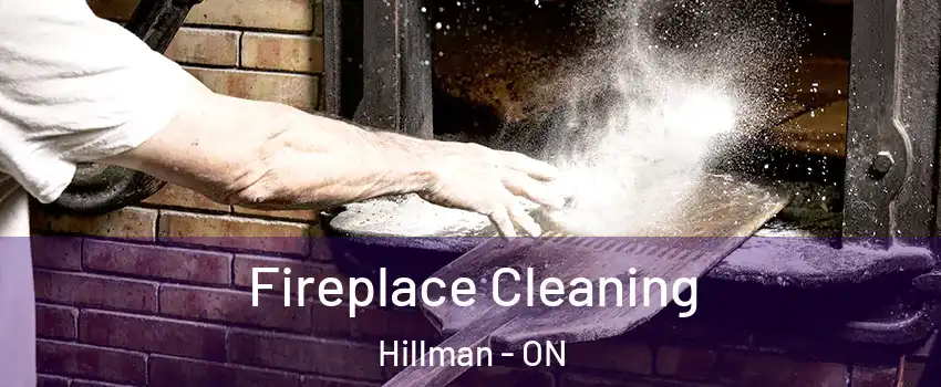  Fireplace Cleaning Hillman - ON