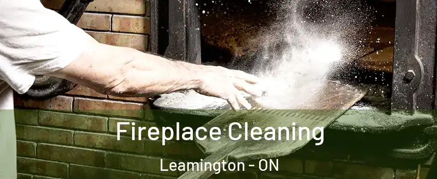  Fireplace Cleaning Leamington - ON