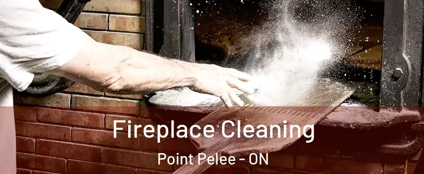  Fireplace Cleaning Point Pelee - ON