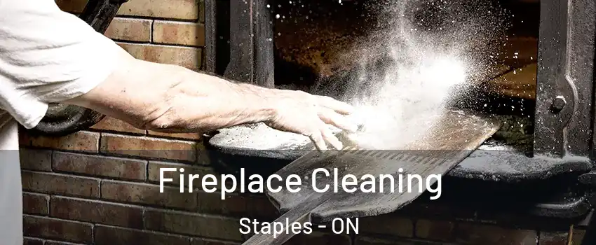  Fireplace Cleaning Staples - ON