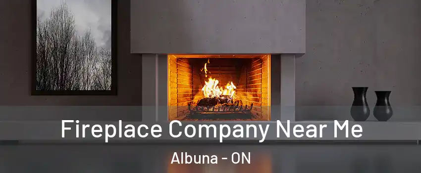  Fireplace Company Near Me Albuna - ON