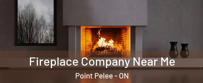  Fireplace Company Near Me Point Pelee - ON