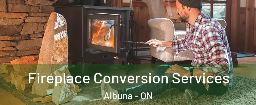 Fireplace Conversion Services Albuna - ON