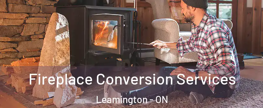  Fireplace Conversion Services Leamington - ON