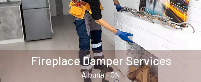  Fireplace Damper Services Albuna - ON