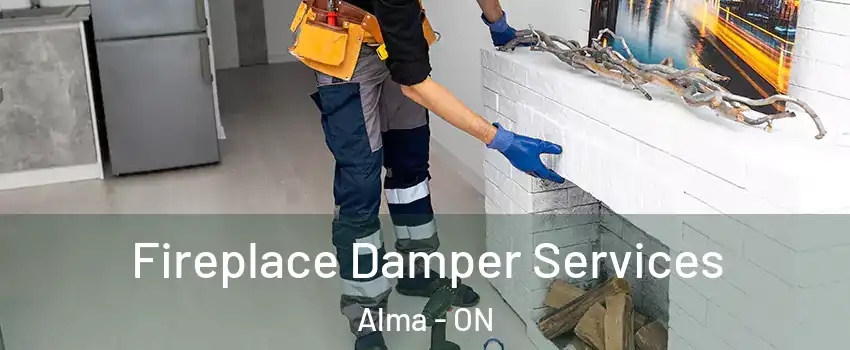  Fireplace Damper Services Alma - ON
