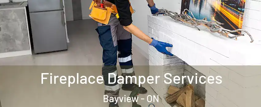  Fireplace Damper Services Bayview - ON